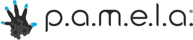 Логотип P.A.M.E.L.A.