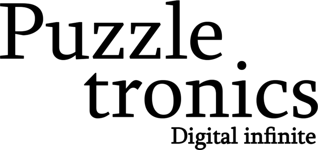 Логотип Puzzletronics Digital Infinite