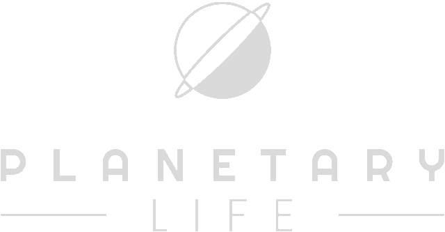 Логотип Planetary Life